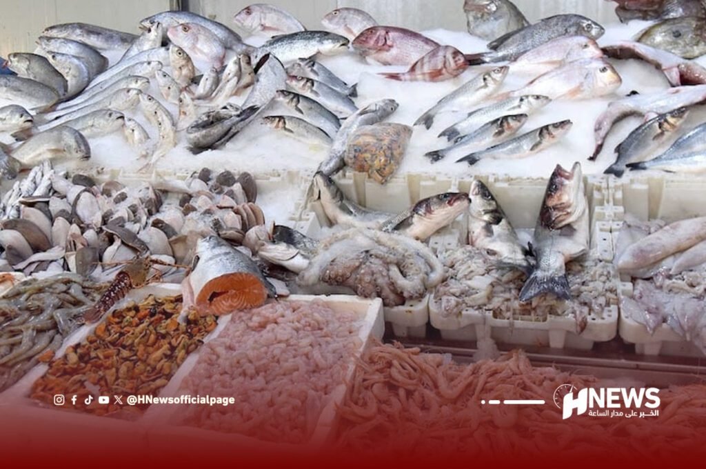 السمك | H-NEWS آش نيوز السمك