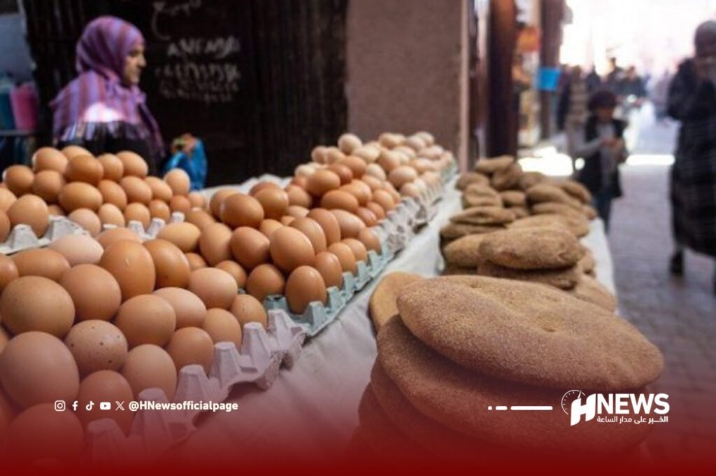 ارتفاع مستمر في أسعار البيض.. مهني يكشف الأسباب