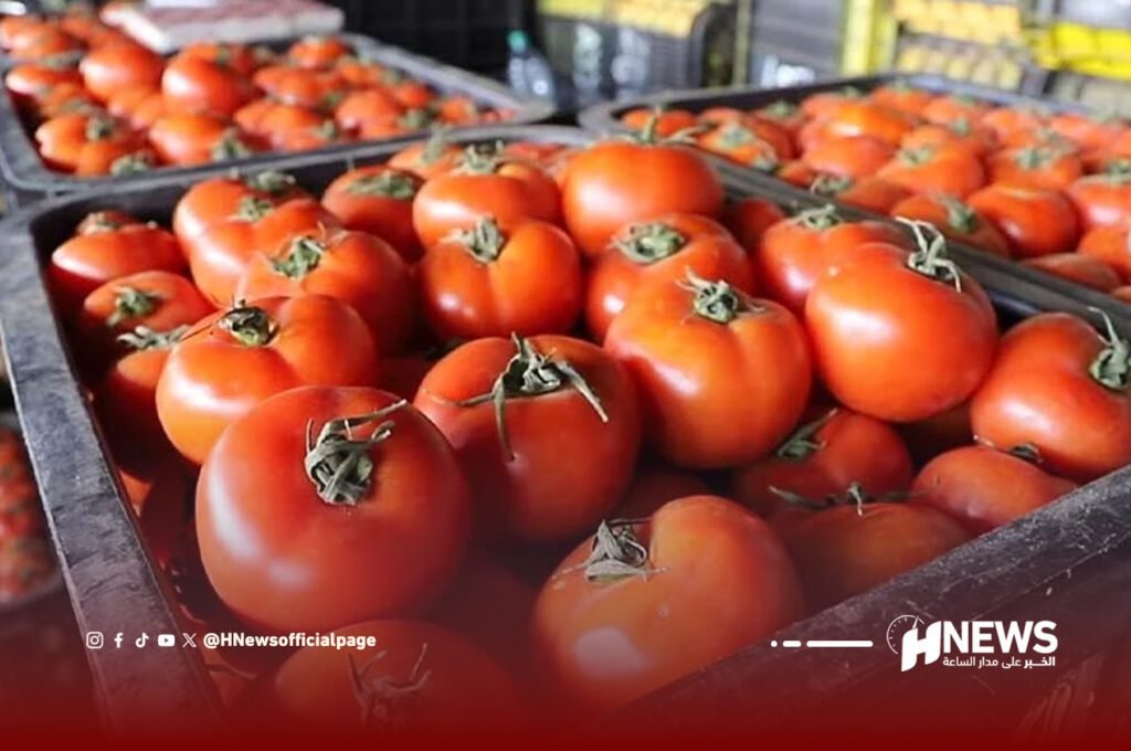 مطالب بحظر استيراد الطماطم المغربية في فرنسا
