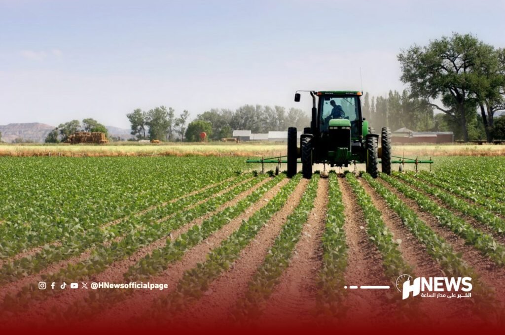 التساقطات المطرية تنعش الزراعة وتعيد الأمل للفلاحين