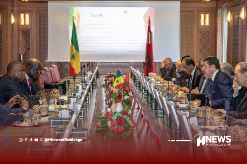 عبد النبوي 2 | H-NEWS آش نيوز عبد النبوي 2