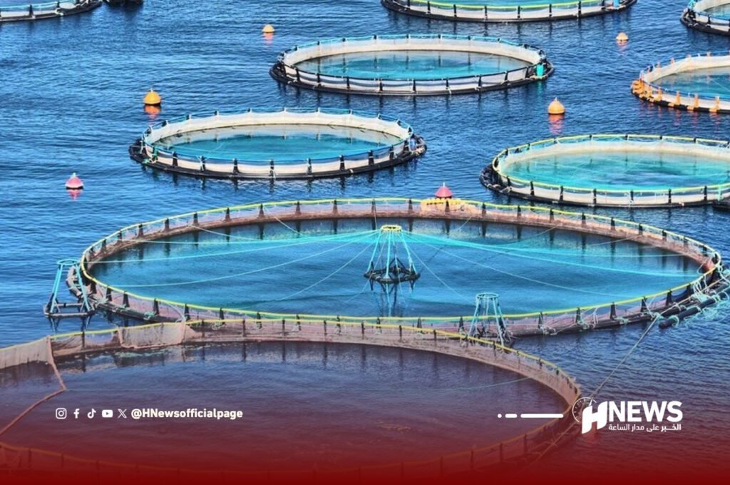 المغرب يطلق مشروعا لتعزيز تربية الأسماك في جرادة والحوز