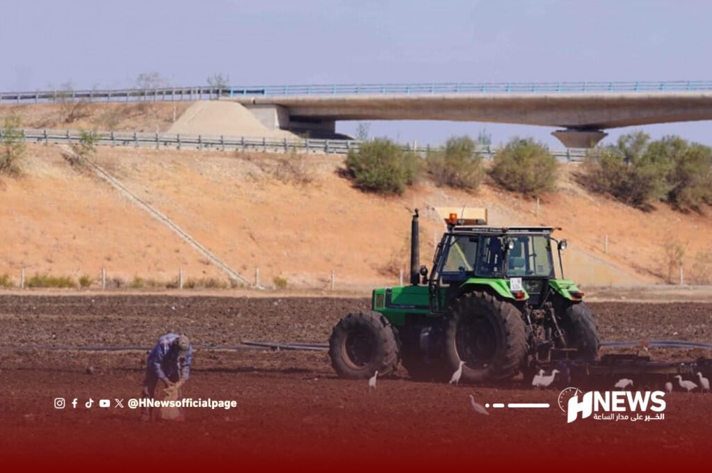 أمطار تنعش الفلاحة