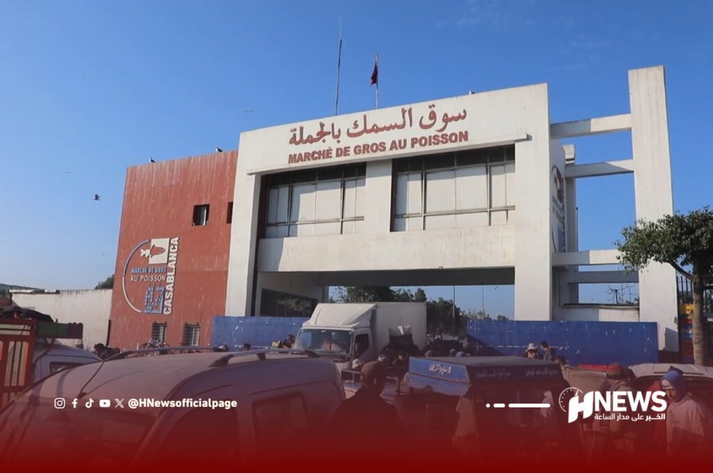 السمك | H-NEWS آش نيوز السمك