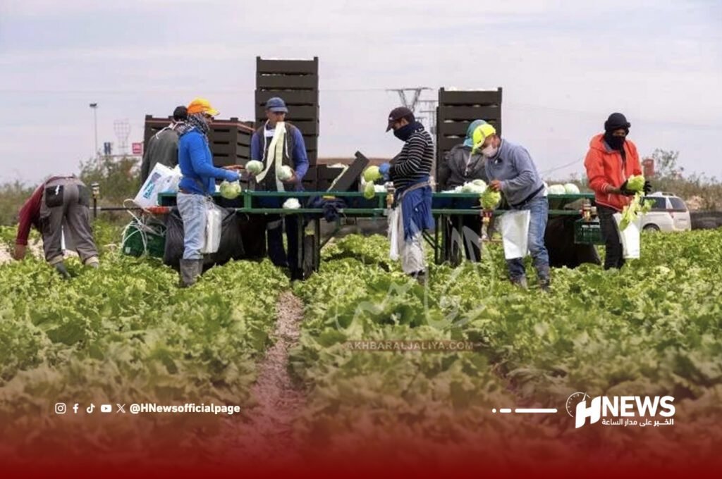 العمال الزراعيين