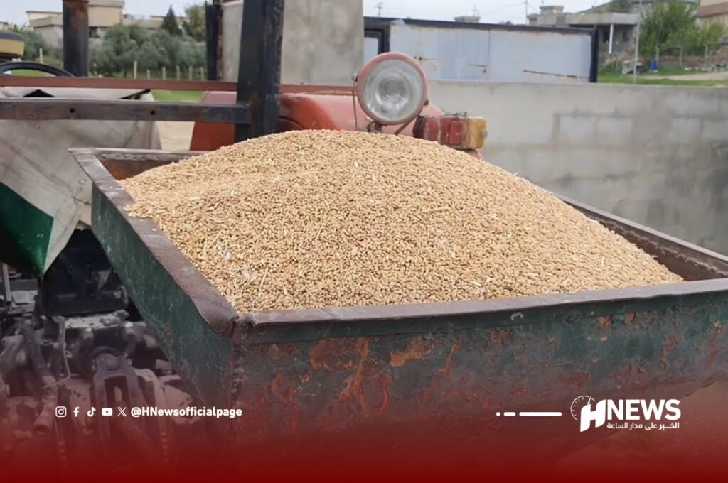 علف الماشية