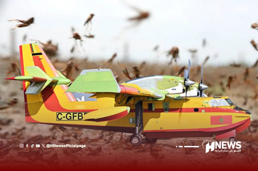 هجوم الجراد