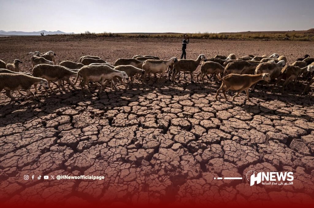 المغرب يواجه تحديات ظواهر مناخية خطيرة