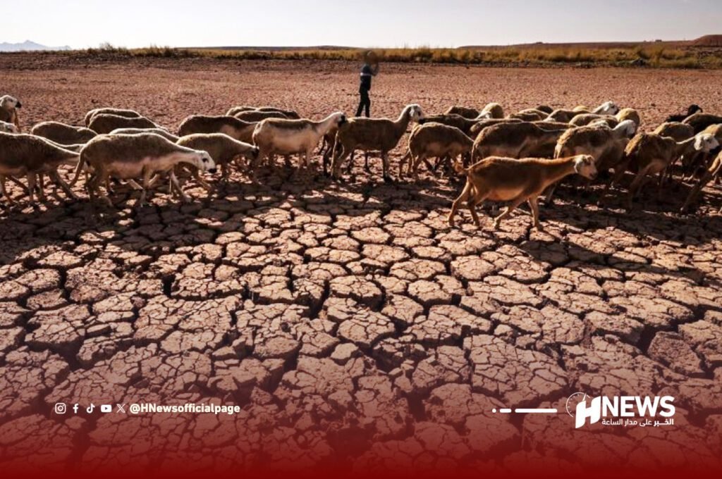 تقرير يدق ناقوس الخطر.. ندرة المياه تهدد مستقبل الزراعة