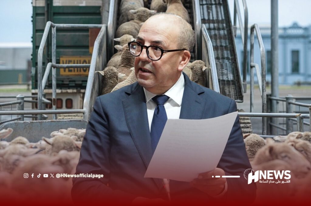 استيراد الأغنام