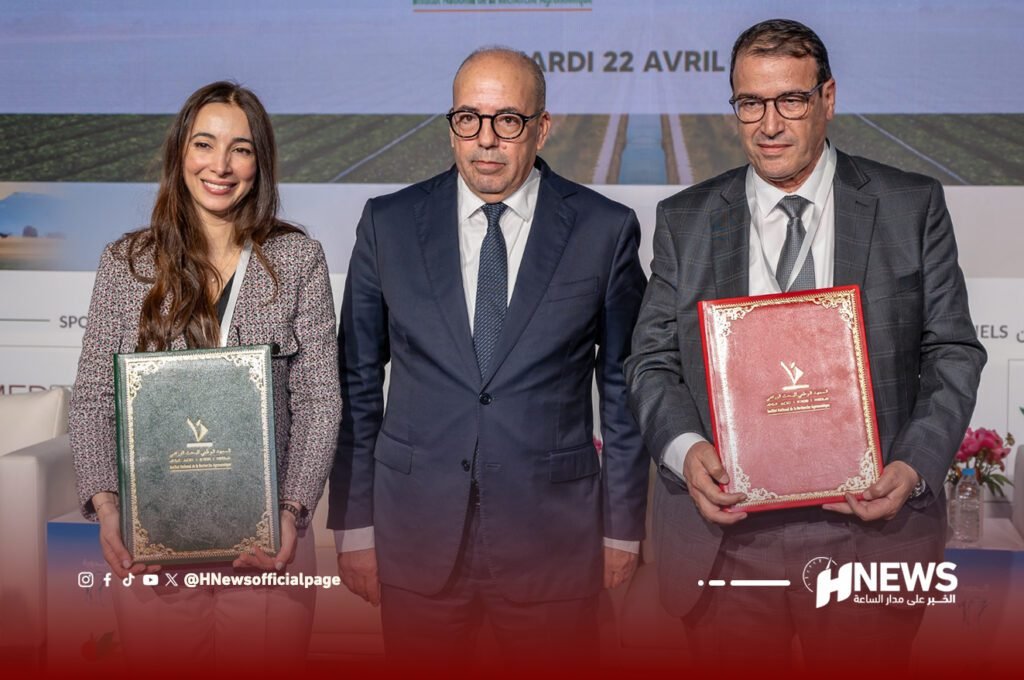 الزيوت النباتية 1 | H-NEWS آش نيوز الزيوت النباتية 1