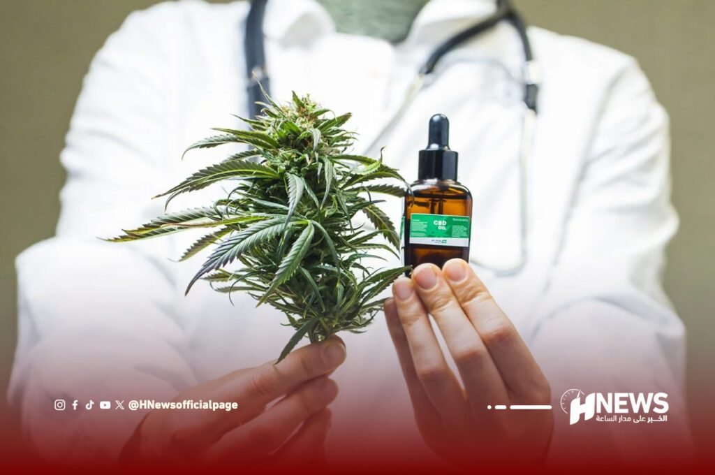 القنب الطبي
