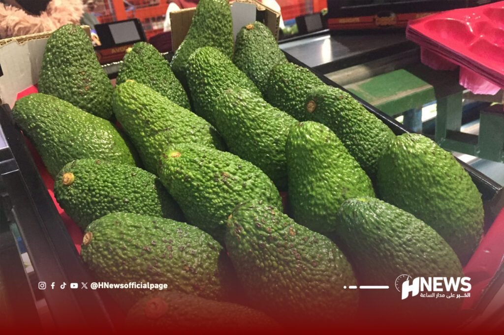 واردات الأفوكادو من المغرب تربك السوق الفلاحية بفالنسيا