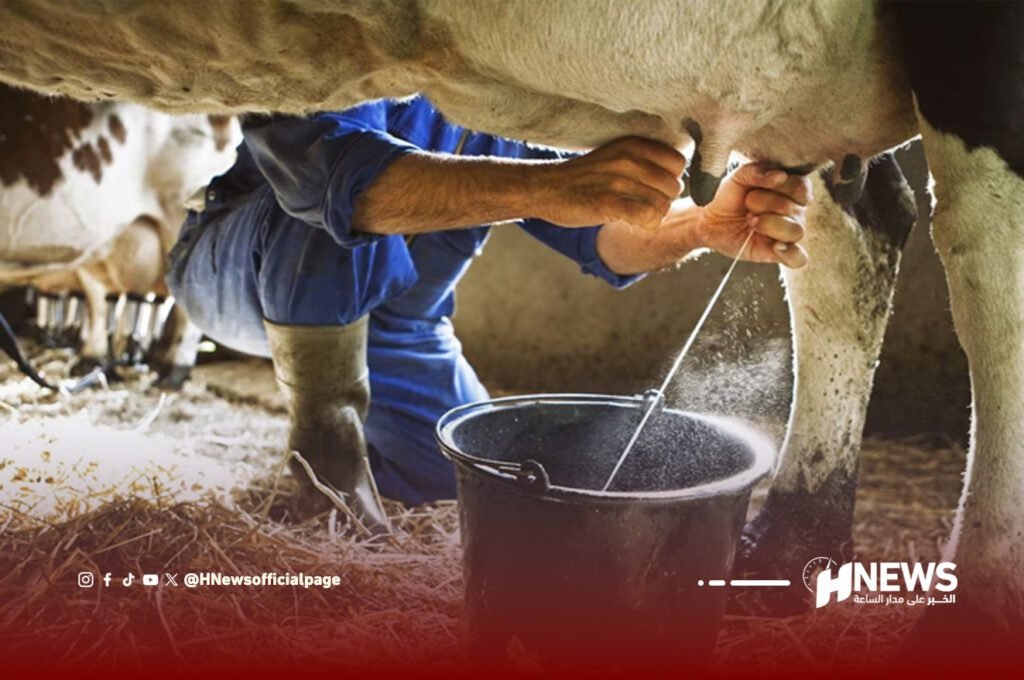 أونسا تحذر من الحليب غير المراقب وسط مخاوف من داء السل