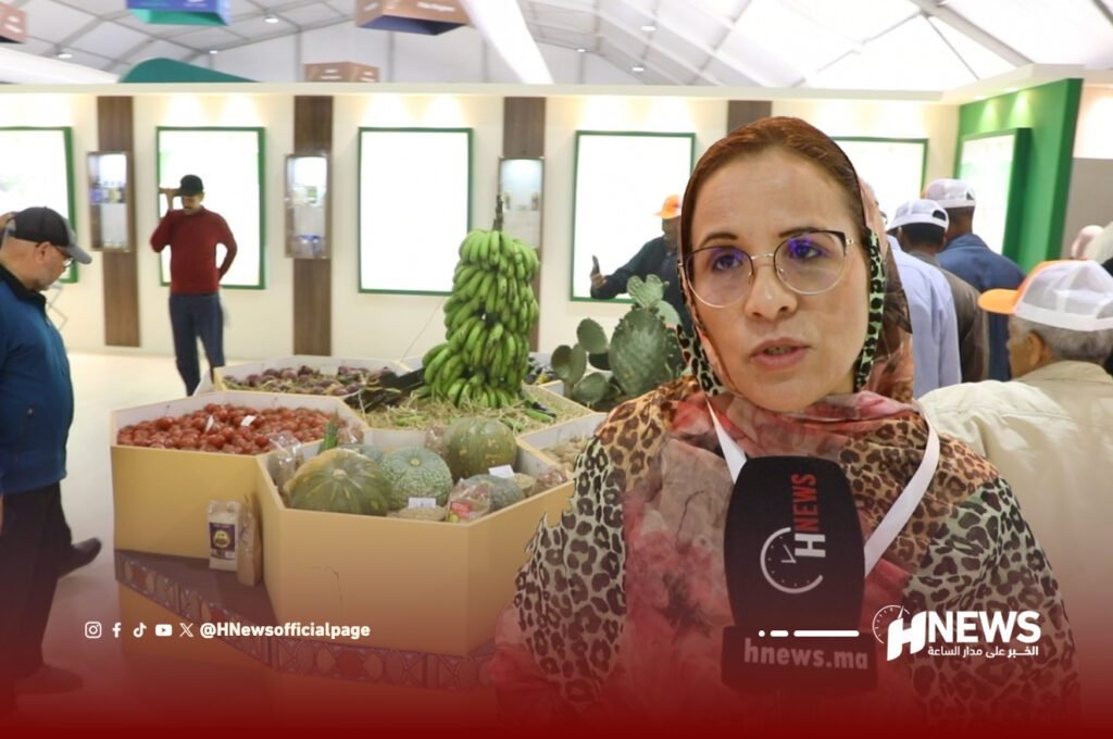 مشاريع مائية كبرى بجهة كلميم واد نون لمواجهة الجفاف