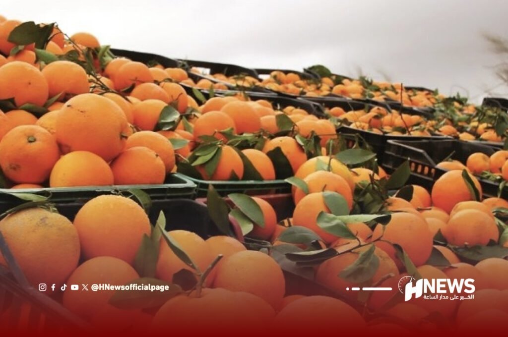 الحوامض المغربية تصل اليابان