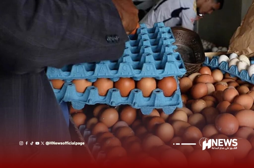 أسعار البيض