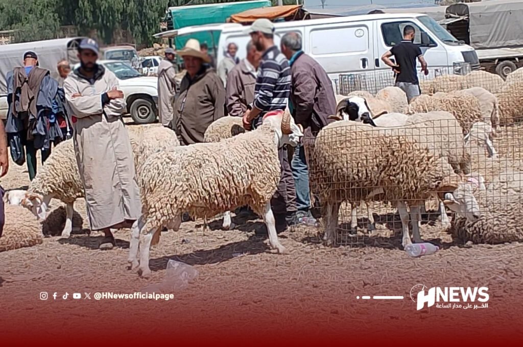 أسواق الشمال