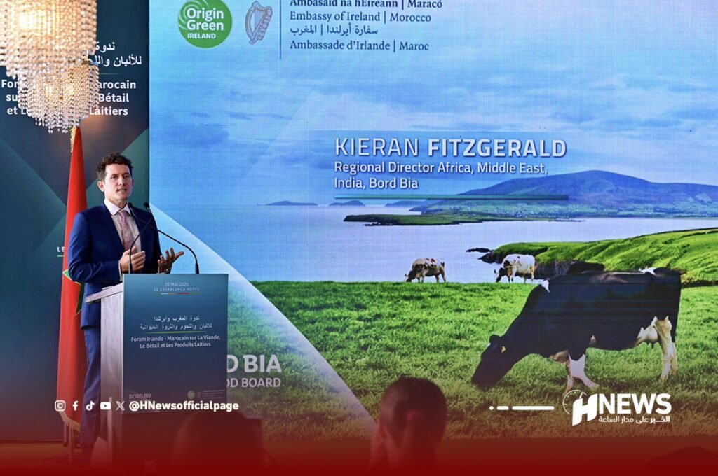 إيرلندا ندوة | H-NEWS آش نيوز إيرلندا ندوة