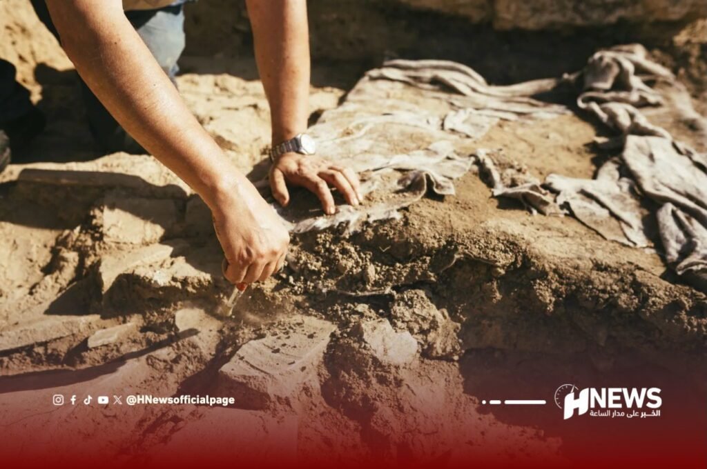 حفريات طنجة