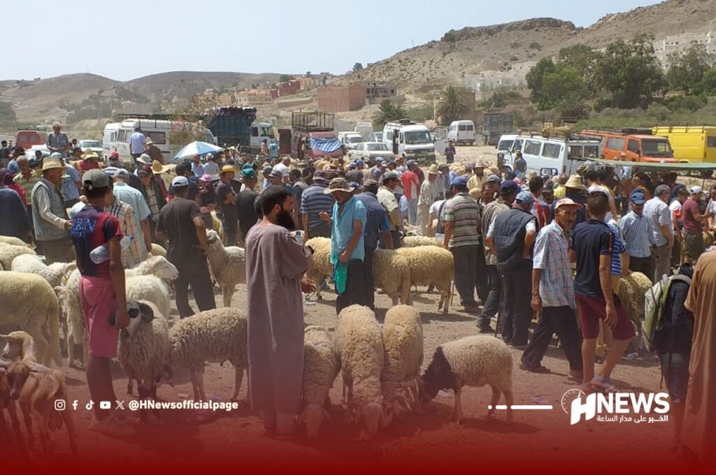 سوق الأغنام الناظور