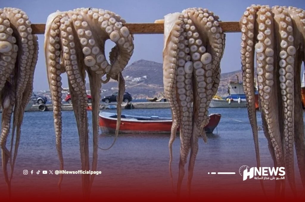 صيد الأخطبوط