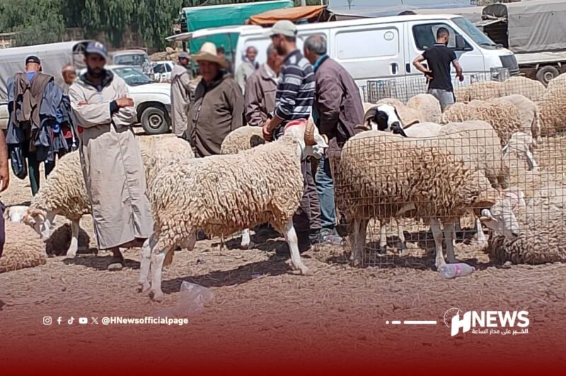 أسواق الشمال