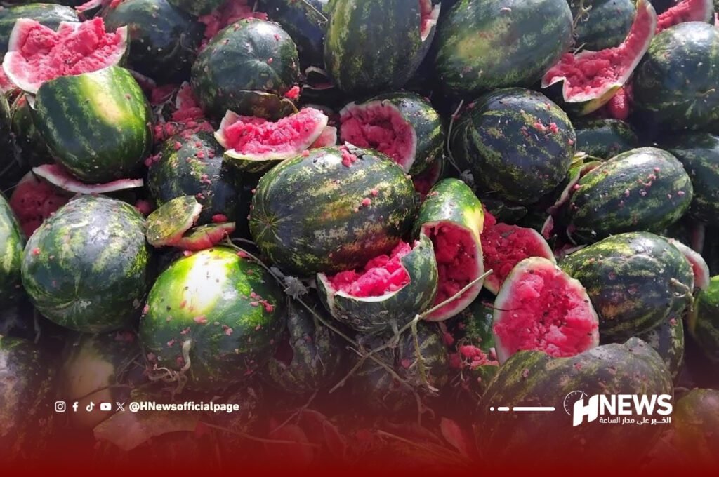 إحباط محاولة ترويج 36 طنا من البطيخ الفاسد