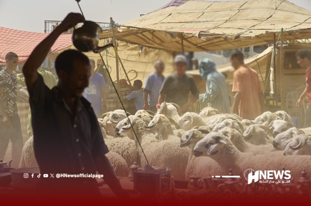 من حكمة القرار إلى فوضى التطبيق.. الأضحية بين طقس متجذر وإصلاح مؤجل