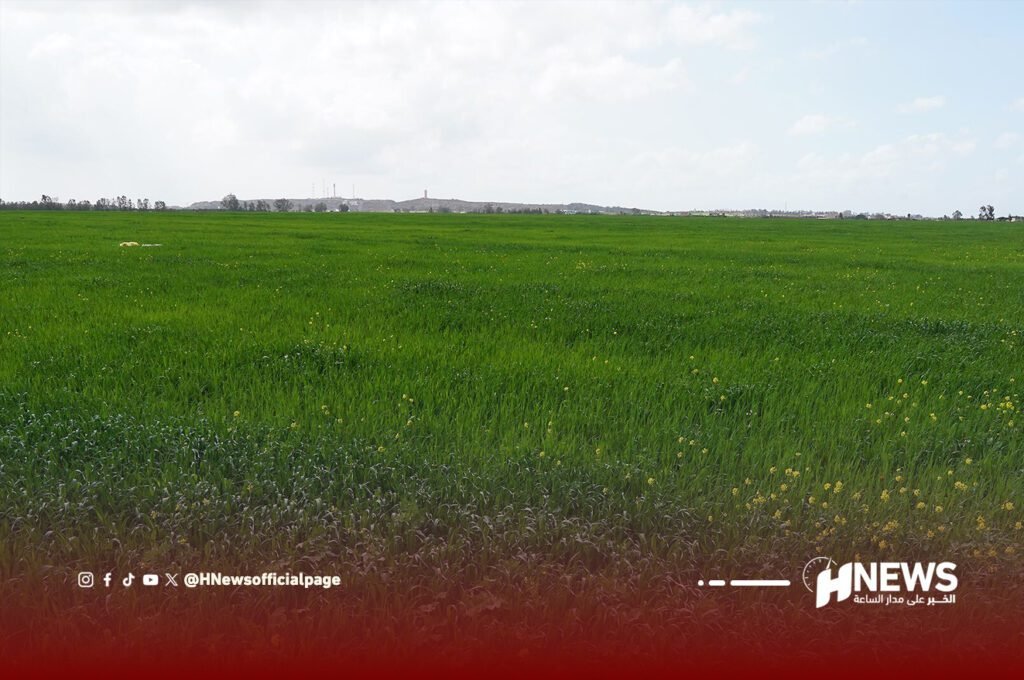 اتهامات لرئيس جماعة بتحويل منطقة خضراء لمشروع خاص