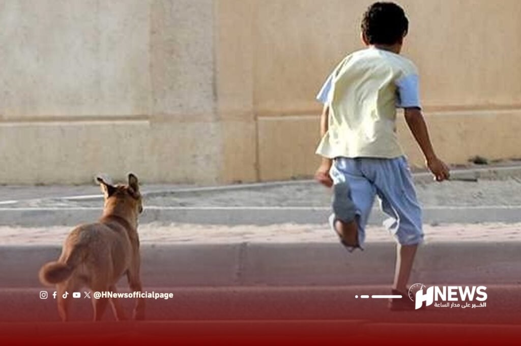 كلب يهجم على طفل | H-NEWS آش نيوز كلب يهجم على طفل