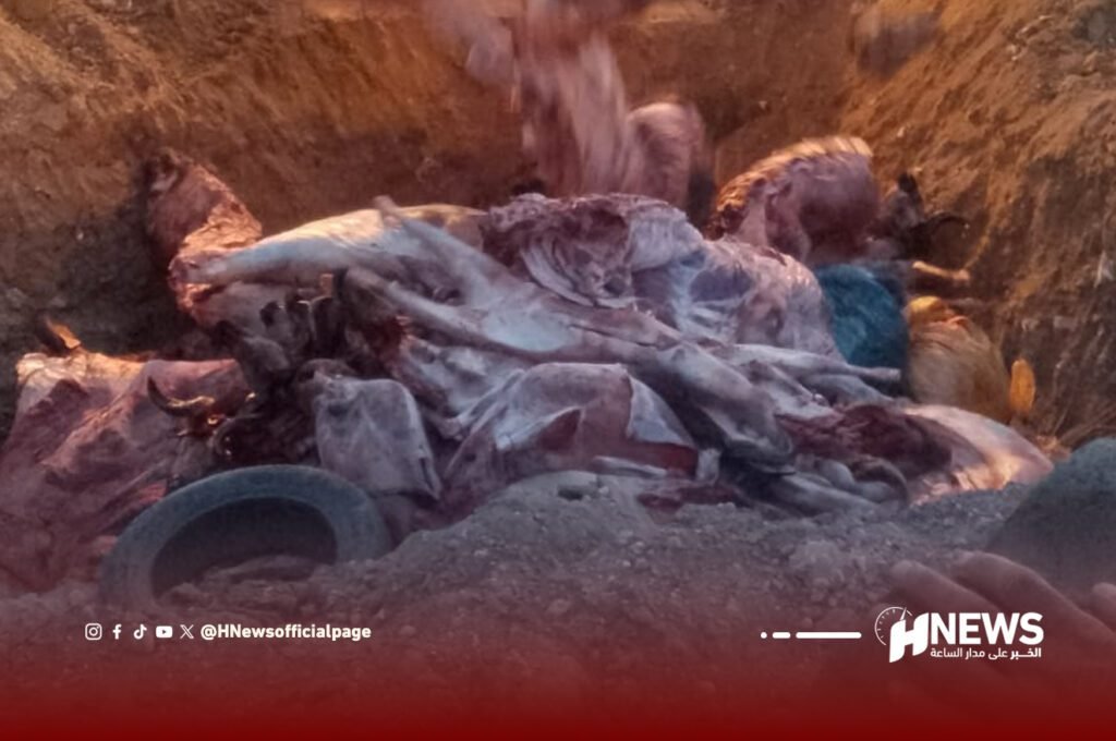 لحوم فاسدة 1 | H-NEWS آش نيوز لحوم فاسدة 1