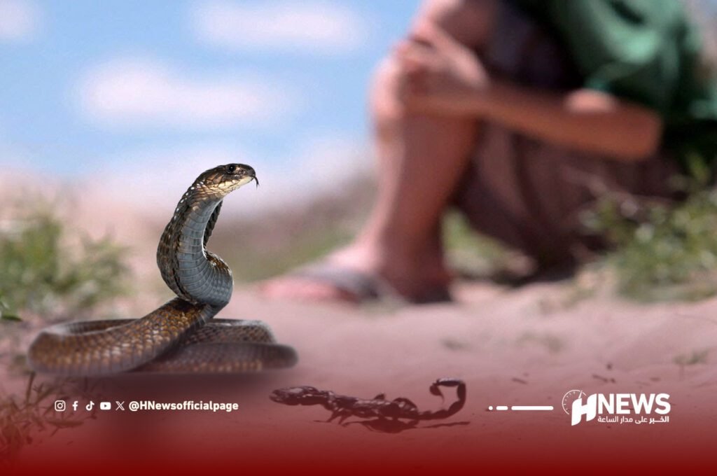 لسعات الافاعي والعقارب