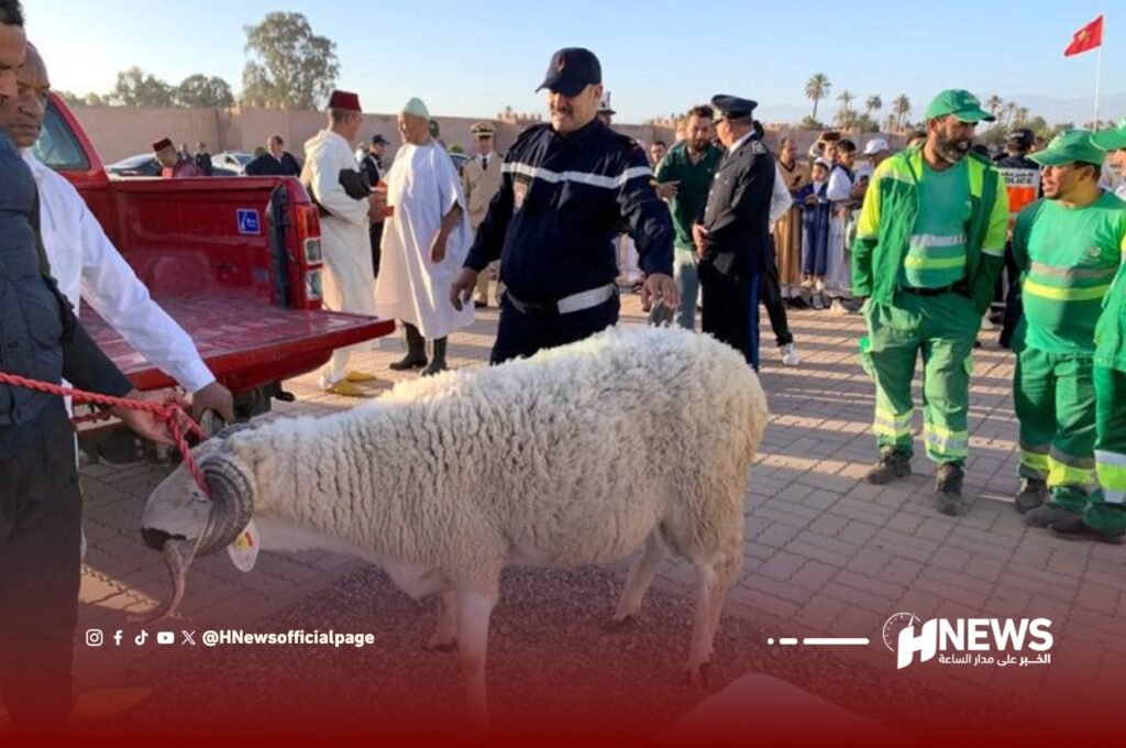 صمت رسمي أمام حادثة نحر الأضحية بحضور والي مراكش