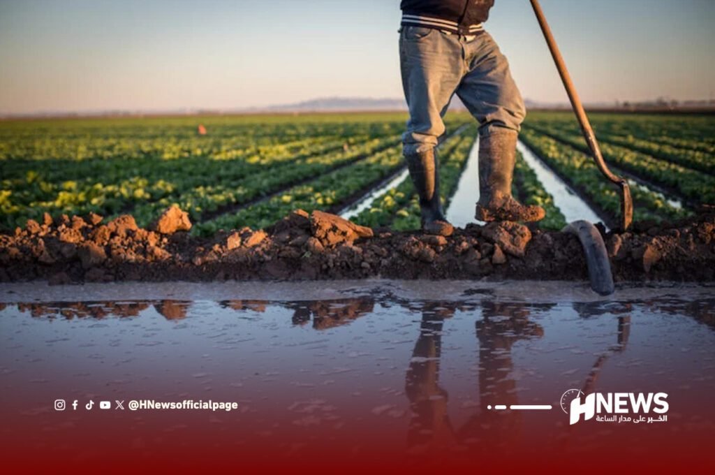 فضيحة سقي خضر بمياه عادمة تهز مدينة الصخيرات