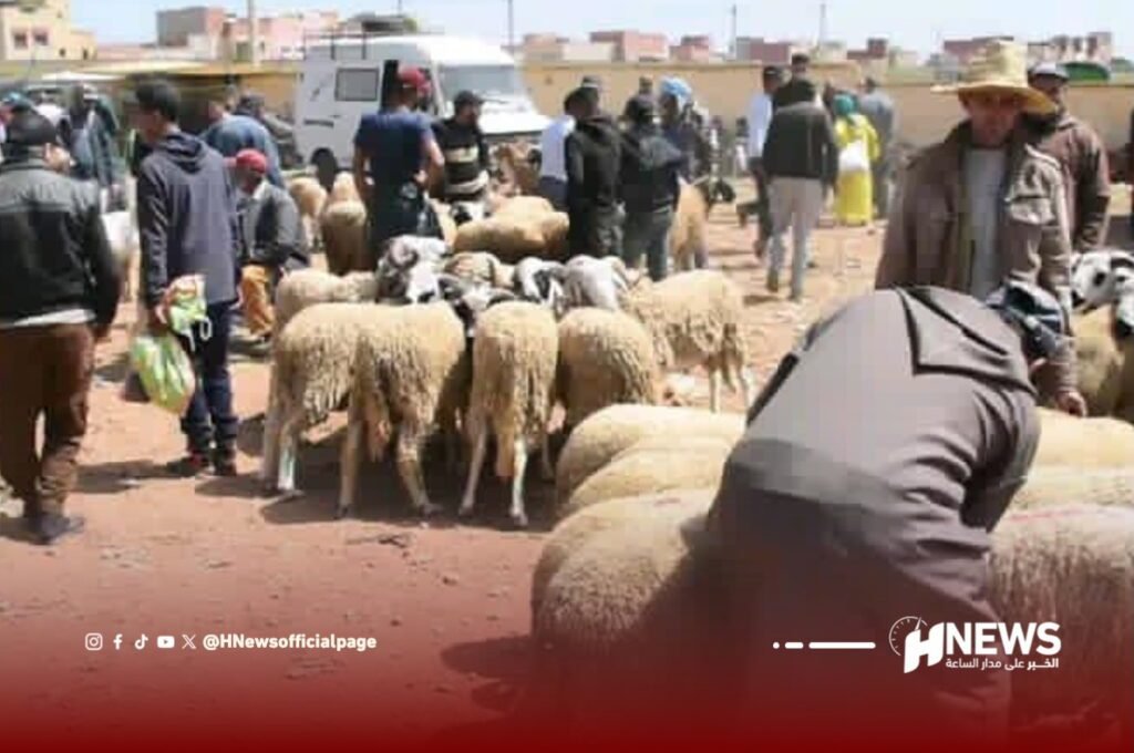 انتقائية في المنع.. السماح لأسواق ببرشيد ببيع المواشي