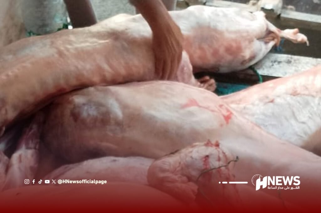 الدرك يداهم مذبحا سريا ويحجز لحوما بجرسيف