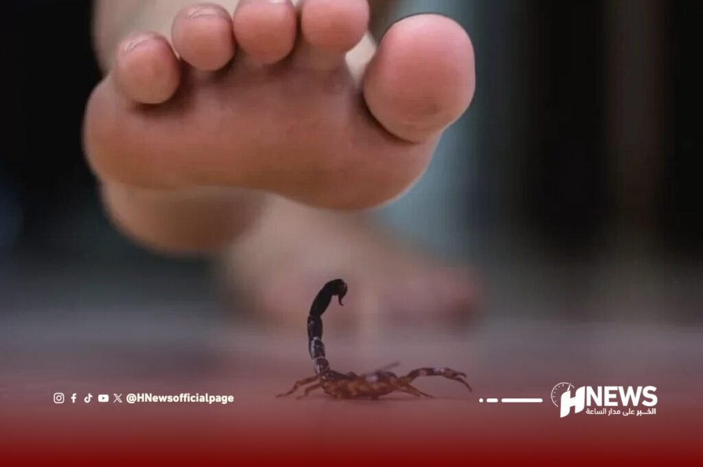 لسعة عقرب تنهي حياة طفل بقلعة السراغنة