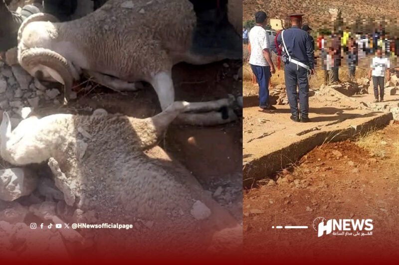 وفاة راع وغنمه