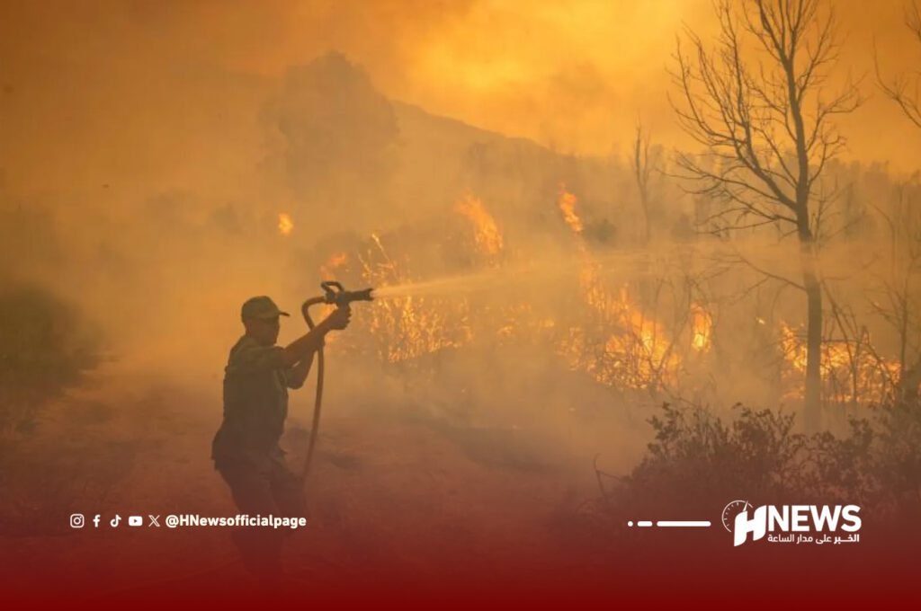 حرائق الغابات | H-NEWS آش نيوز حرائق الغابات
