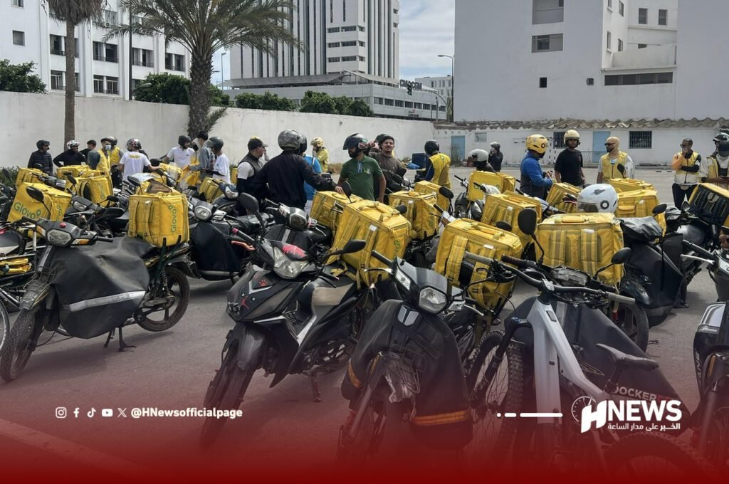 مستخدمي غلوفو | H-NEWS آش نيوز مستخدمي غلوفو