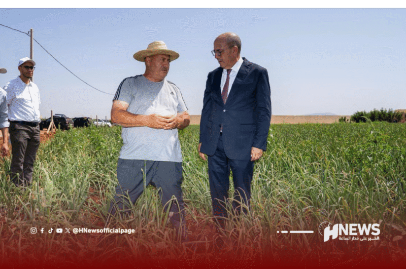 البواري مشروع 2