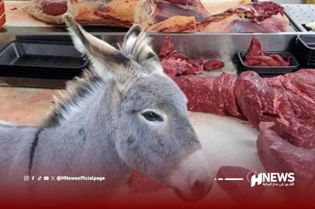 رؤوس حمير تثير الذعر بالجديدة وتحرك السلطات