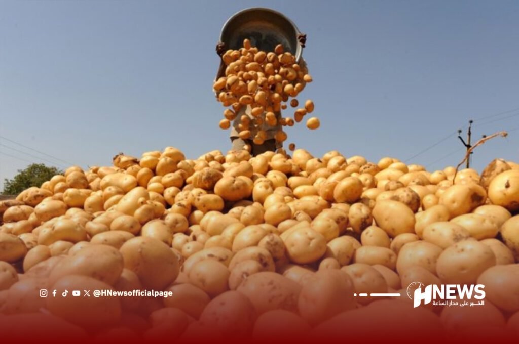 البطاطس المغربية | H-NEWS آش نيوز البطاطس المغربية