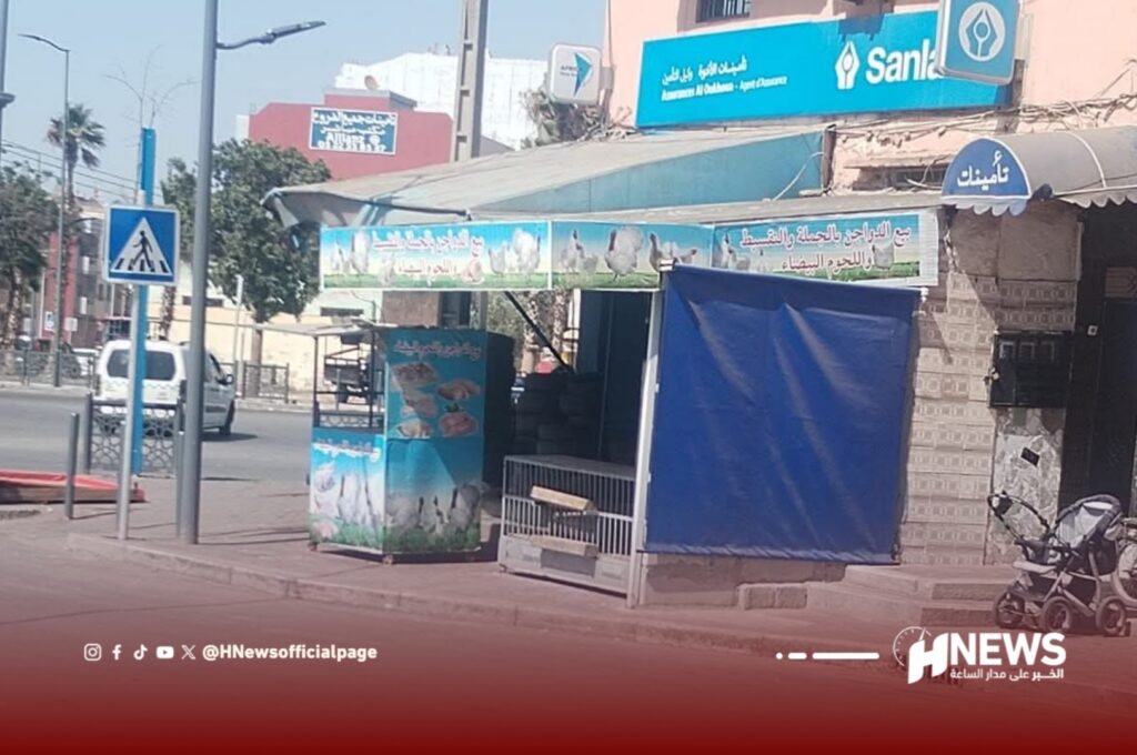 مجزرة دجاج عشوائية