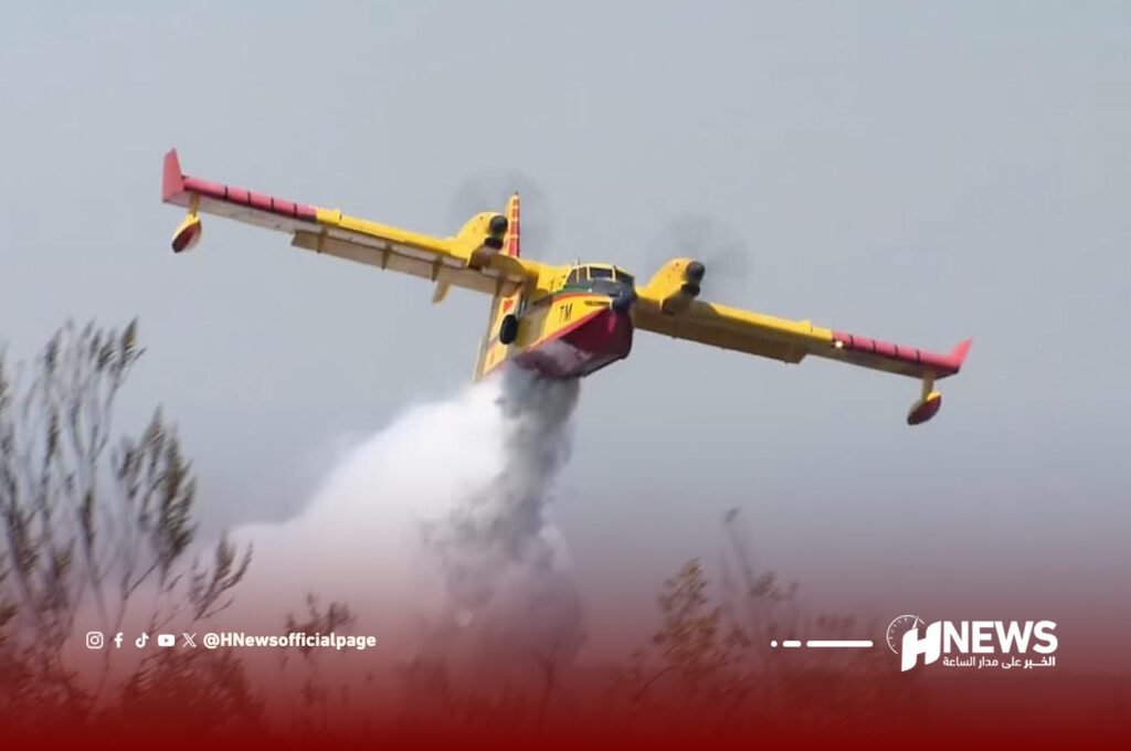 500 هكتار من المجال الغابوي تضررت بسبب حريق شفشاون