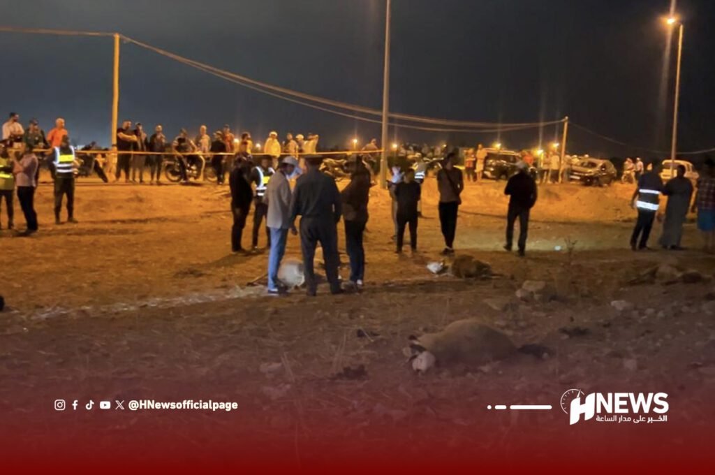 فيديو.. نفوق مفاجئ لأزيد من 60 رأس غنم في ظروف غامضة