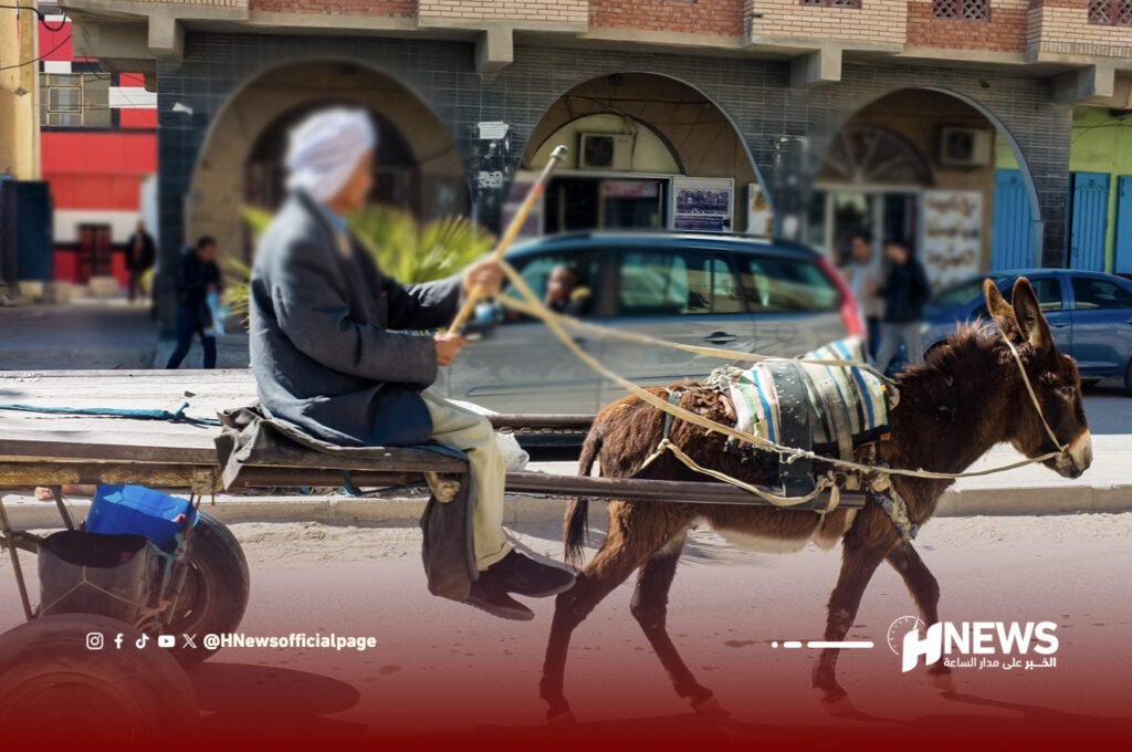 عملية نصب تحرم خمسيني بالناظور من حلم الهجرة