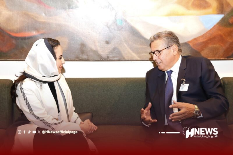 أخنوش ديمة اليحيى