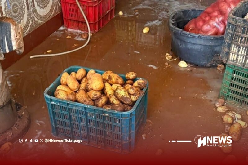 بطاطس فاسدة